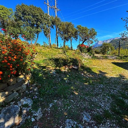 Georgaras Accommodation Platanoussa Εξωτερικό φωτογραφία