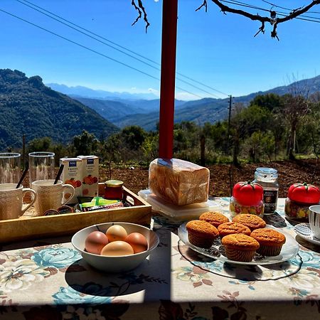 Georgaras Accommodation Platanoussa Εξωτερικό φωτογραφία