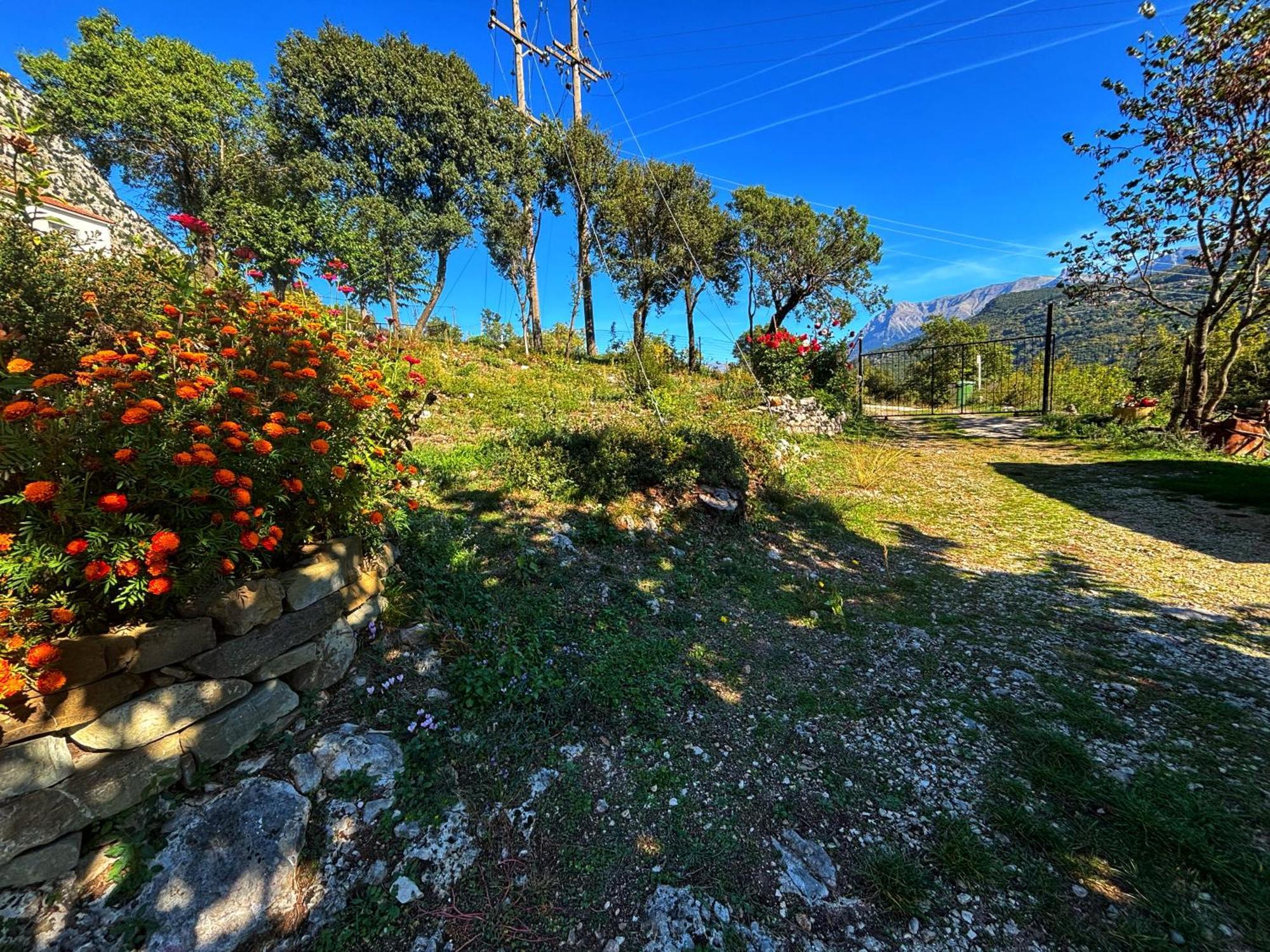 Georgaras Accommodation Platanoussa Εξωτερικό φωτογραφία