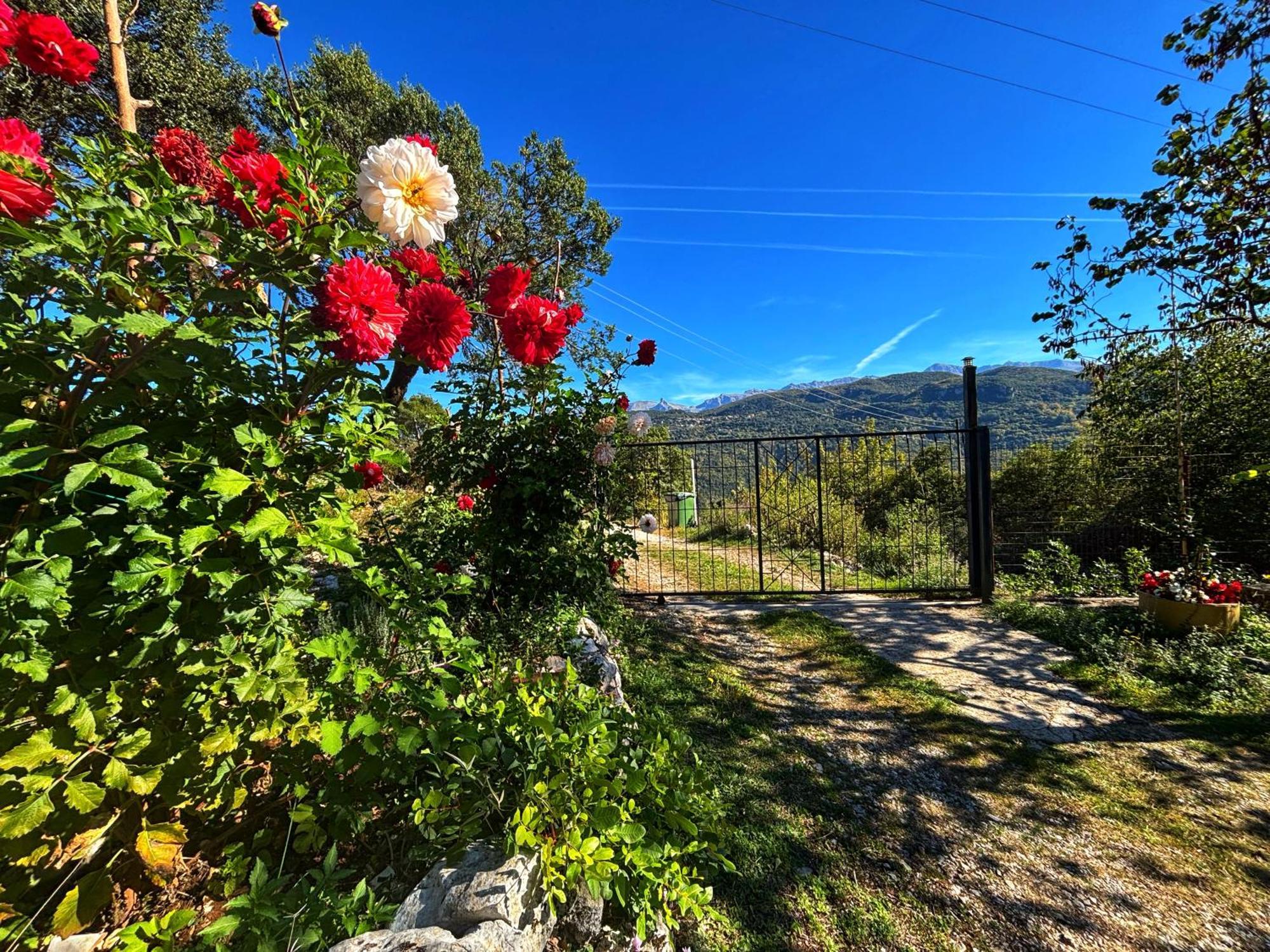 Georgaras Accommodation Platanoussa Εξωτερικό φωτογραφία